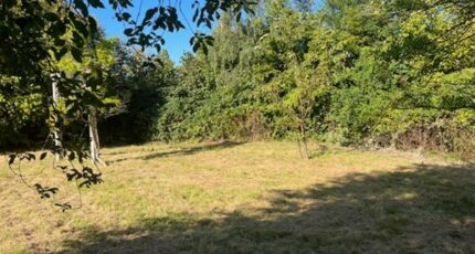 Gometz-la-Ville Terrain à bâtir - 2498705-4684annonce120260430E1DBd.jpeg Maisons Open