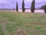  2498776-11041annonce420260430giWNN.jpeg Maisons Open