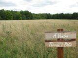  2417483-3427annonce120251013T00kv.jpeg Maisons Open