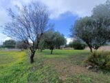  2419743-9911annonce320260205gaJEt.jpeg Maisons Open