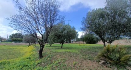 Roquebrune-sur-Argens Terrain à bâtir - 2419743-9911annonce320260205gaJEt.jpeg Maisons Open