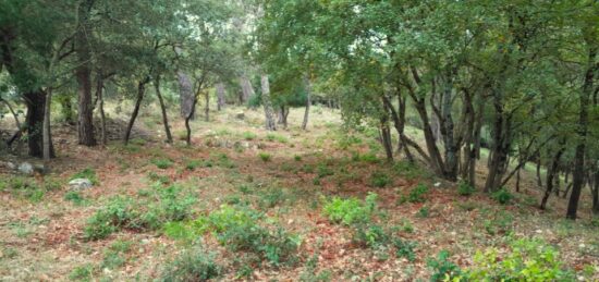 Terrain à bâtir à , Var