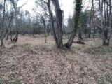 2422276-10295annonce120250519CE1wG.jpeg Maisons Open