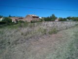  2424782-11018annonce320260211oqroT.jpeg Maisons Open