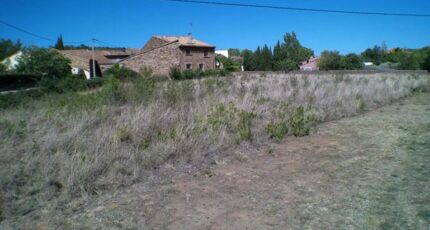 Cébazan Terrain à bâtir - 2424792-11018annonce120260211NdHJv.jpeg Maisons Open