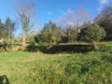  2451277-11001annonce1202603091lQft.jpeg Maisons Open