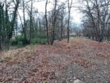  2421912-10152annonce120250120mbT2J.jpeg Maisons Open
