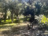  2457603-11169annonce120260316uvRnM.jpeg Maisons Open