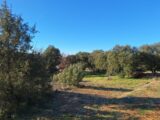  2456756-6932annonce220260313U7vNp.jpeg Maisons Open