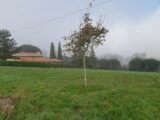  2460965-5202annonce320260318SmW7R.jpeg Maisons Open