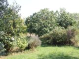  2440014-10986annonce120250715NczXo.jpeg Maisons Open