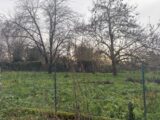  2475404-11356annonce120260403kTvpl.jpeg Maisons Open