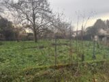  2475404-11356annonce320260403vekzA.jpeg Maisons Open