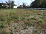  2475010-5604annonce420260402tT1Cb.jpeg Maisons Open