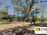  2441563-7159annonce220260226vTTvT.jpeg Maisons Open
