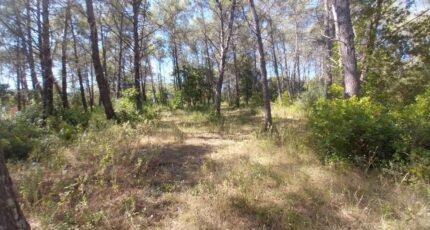 Bagnols-en-Forêt Terrain à bâtir - 2478554-10152annonce120250711xNv8e.jpeg Maisons Open