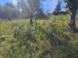  2483191-11719annonce320260413Wp1PJ.jpeg Maisons Open