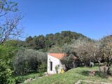  2485251-10746annonce120260414iOpuR.jpeg Maisons Open