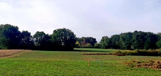 Terrain à bâtir à Verfeil, Occitanie