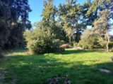  2498874-11137annonce120250108q7H6T.jpeg Maisons Open