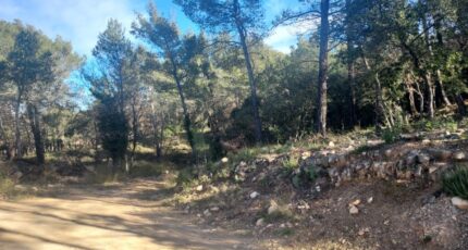 Rocbaron Terrain à bâtir - 2498876-11137annonce2202501163WlCE.jpeg Maisons Open