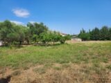  2498887-11137annonce320250730PzNJF.jpeg Maisons Open