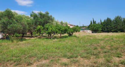 Puget-sur-Argens Terrain à bâtir - 2498887-11137annonce320250730PzNJF.jpeg Maisons Open