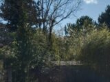  2499012-9917annonce120260502uh5O4.jpeg Maisons Open
