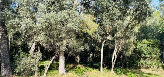 Terrain à bâtir à , Var