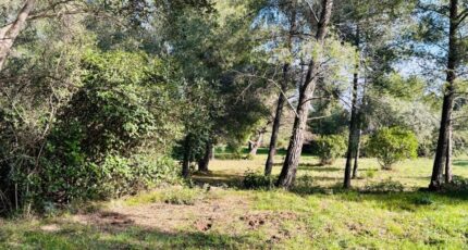 Ollioules Terrain à bâtir - 2499677-9707annonce420260504JhGmp.jpeg Maisons Open