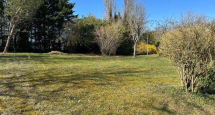 Boissy-le-Châtel Terrain à bâtir - 2499530-5508annonce120260503ittdd.jpeg Maisons Open