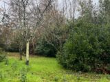  2404769-11016annonce120260123Qx2yL.jpeg Maisons Open