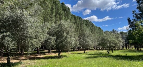 Terrain à bâtir à Lézignan-la-Cèbe, Occitanie