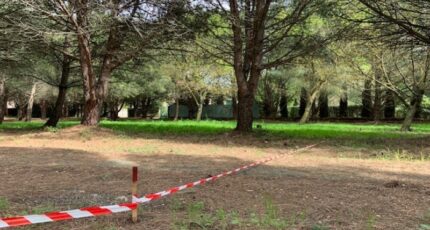 Lézignan-la-Cèbe Terrain à bâtir - 2499824-11018annonce320250911VLv6T.jpeg Maisons Open