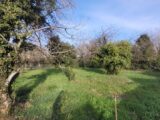  2499916-812annonce1202512294i9by.jpeg Maisons Open