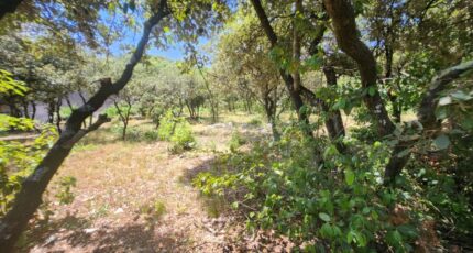 Bourg-Saint-Andéol Terrain à bâtir - 2499995-812annonce120251230gOpm5.jpeg Maisons Open