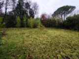  2500025-812annonce220260107uBaQT.jpeg Maisons Open