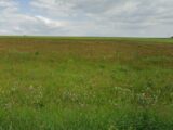  2500056-11209annonce120260504WiEiC.jpeg Maisons Open