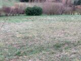  2445846-10974annonce120260303Ct4fu.jpeg Maisons Open