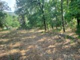  2500458-11137annonce220260112aZ5Px.jpeg Maisons Open