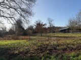 2500372-10677annonce120260504H22Aw.jpeg Maisons Open
