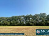  2500394-5828annonce120250310DxkDy.jpeg Maisons Open