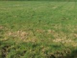  2500744-1153annonce120240527FB5LD.jpeg Maisons Open