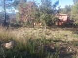  2500839-11137annonce320260504Tidyh.jpeg Maisons Open