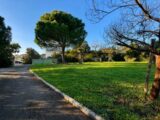  2500936-11078annonce120260504s9XIG.jpeg Maisons Open