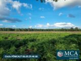  2500934-5828annonce120251007PLh9J.jpeg Maisons Open