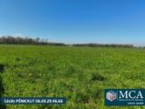  2500924-5828annonce120260325pMcyZ.jpeg Maisons Open