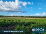  2463284-5828annonce120251003iO8QV.jpeg Maisons Open