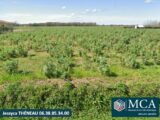 2463172-5828annonce120250829Ouoq1.jpeg Maisons Open