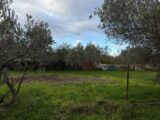  2427565-11455annonce120260212T3KM4.jpeg Maisons Open